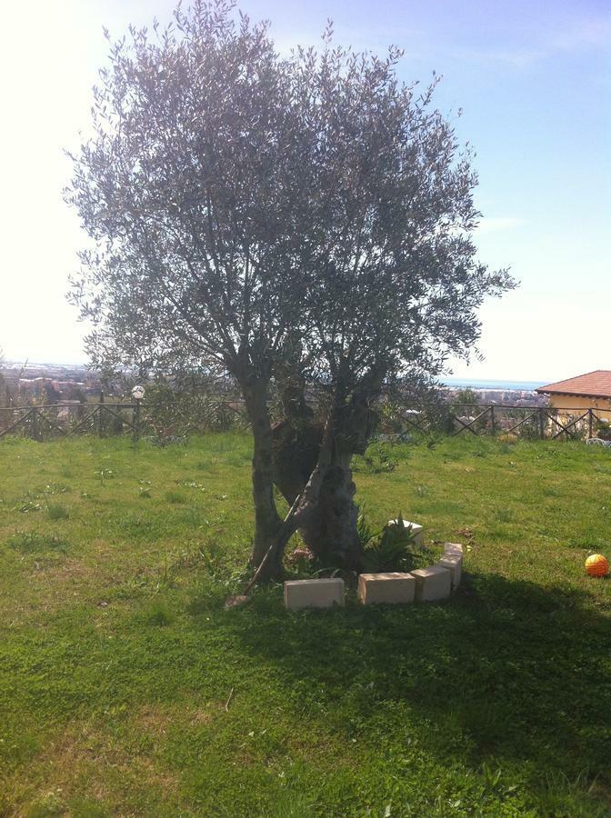 La Dimora Dei 5 Sensi Faiano Exterior foto